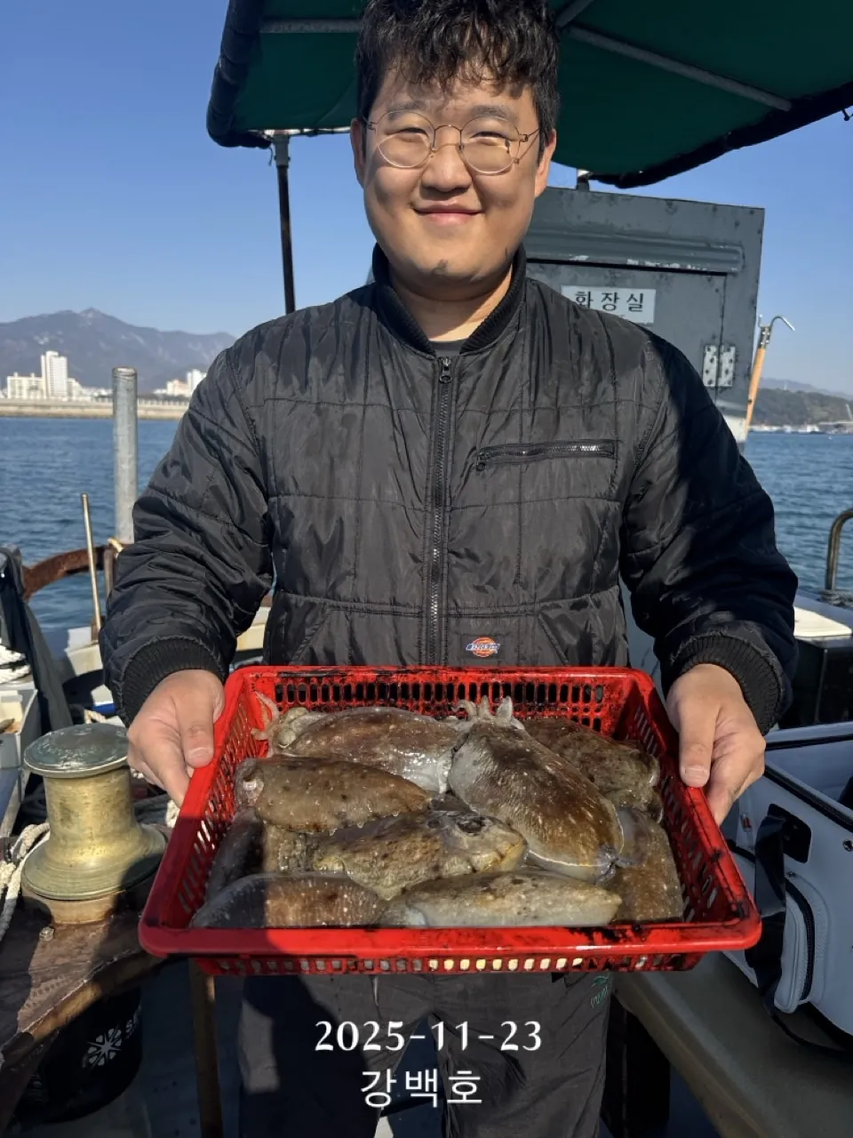 삼천포 선상낚시에서 잡은 갑오징어 실제 조과